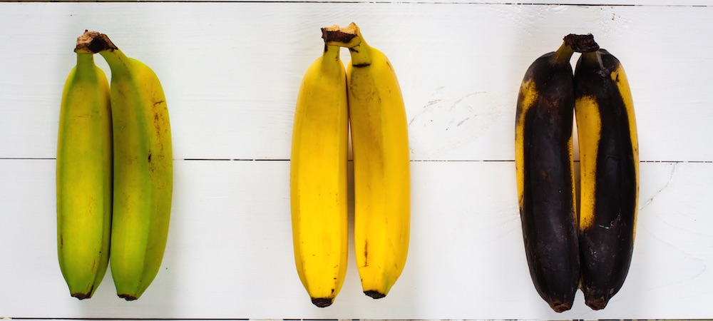 Three bananas, one raw, one ripe and the third spoilt